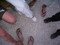 IMGP2514 Hyeres c'est le pied